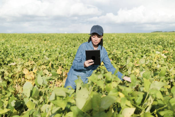 istock Woman in a plantation. 1469482848