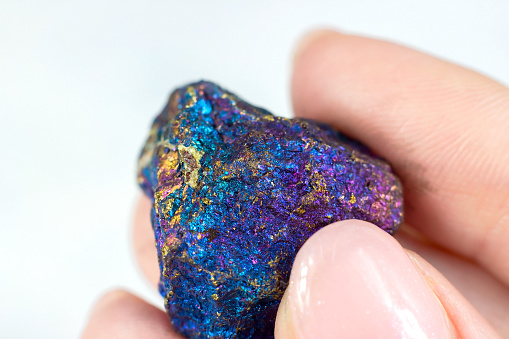Woman hand holding shiny rainbow crystal Peacock ore or Bornite (Chalcopyrite) on light background close up.