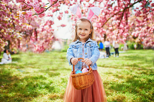 Preschooler girl wearing bunny ears playing egg hunt on Easter. Child gathering colorful eggs in basket. Little kid celebrating Easter outdoors