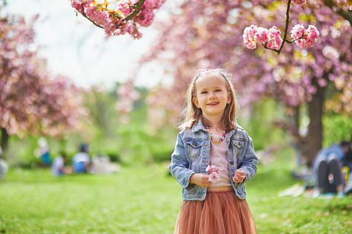 Adorable preschooler girl in tutu skirt enjoying nice spring day in cherry blossom garden