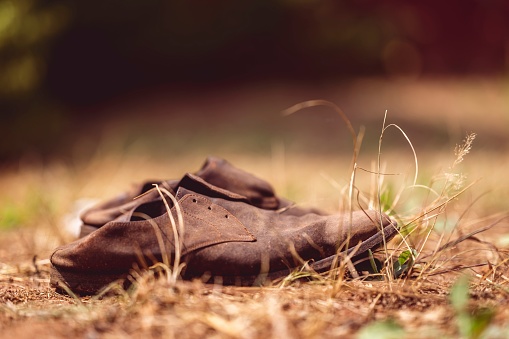 A pair of old brown shoes lying on the ground surrounded by lush greenery