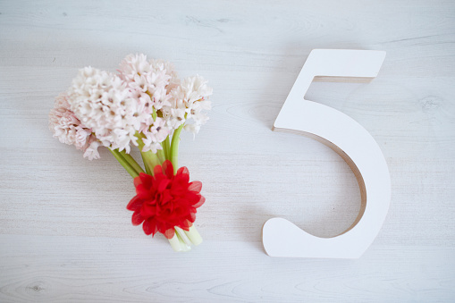 Bunch of light pink hyacinths and white wooden number five. Fifth birthday or anniversary concept
