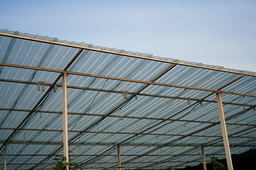 Polycarbonate Roofing fpr for house decoration