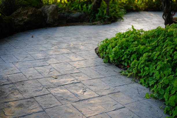 istock Walkway in garden 1469494163