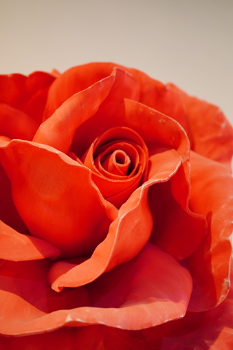 Close-up of the artificial red roses flower