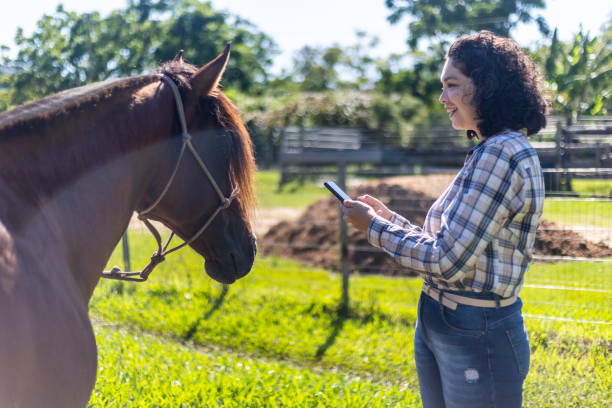 istock Woman using mobile phone with internet at horse farm 1469496254