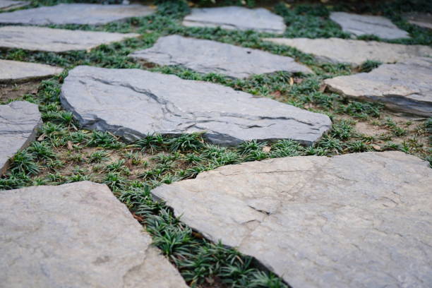 istock Stone blocks the walkway in graden background 1469497542