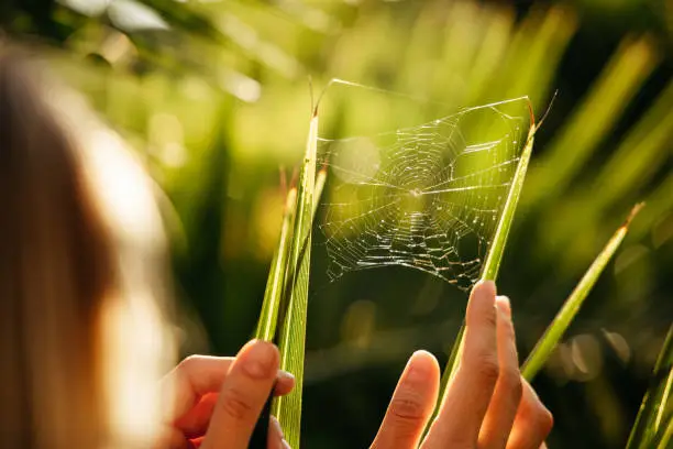 Woman's hands touching web