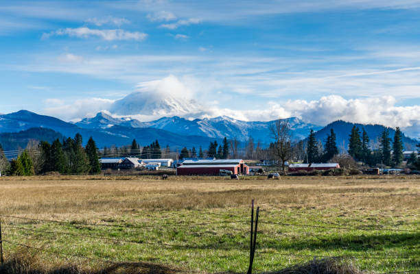 Country Mountain Scene 3