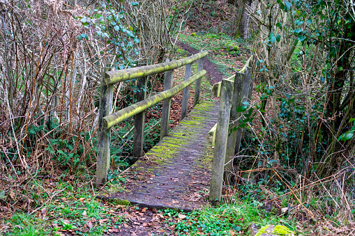 An old wooden bridge over a stream covered with green moss. Crossing the river in the forest.