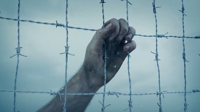 Hand On Fence In Snowfall - Prison, POW, Freedom Concept