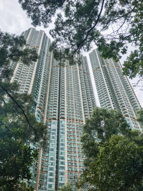 istock Large housing building in Hong Kong through trees frame 1469504203