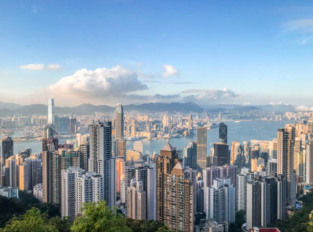 vista aerea dello skyline della città di west kowloon, hong kong - hong kong foto e immagini stock