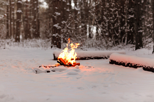 Bright bonfire burning on snowy ground near logs in winter evening in woods