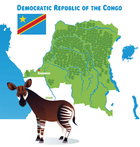 illustrazioni stock, clip art, cartoni animati e icone di tendenza di repubblica democratica del congo e okapi - kinshasa
