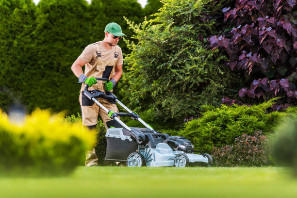 istock Gardener Performing Lawn Maintenance Using Power Mower 1469508218