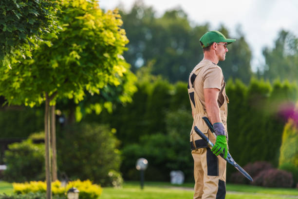 istock Professional Gardener During Garden Landscape Maintenance Work 1469508298