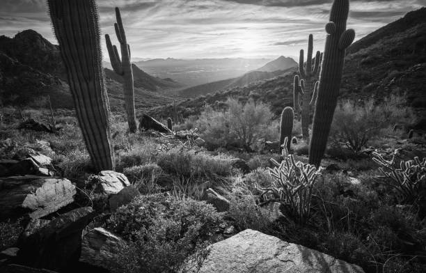 istock Sunset on Bell Pass in The Majestic McDowell Mountains 1469509989