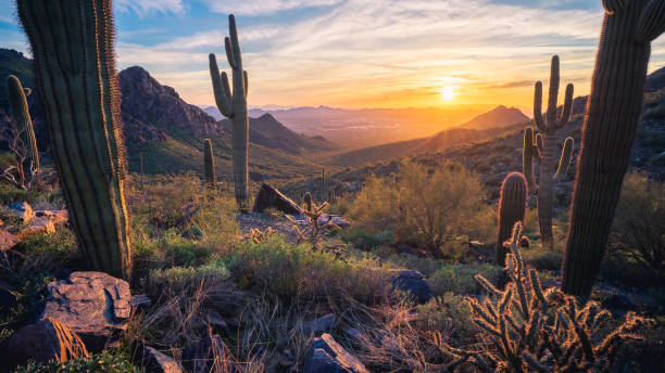 istock Sunset on Bell Pass in The Majestic McDowell Mountains 1469510154