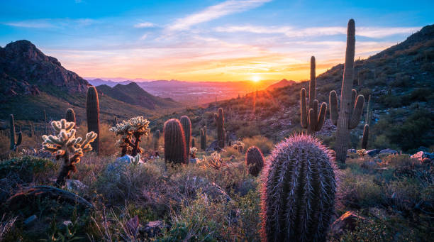 atardecer en bell pass en las majestuosas montañas mcdowell - desert fotografías e imágenes de stock