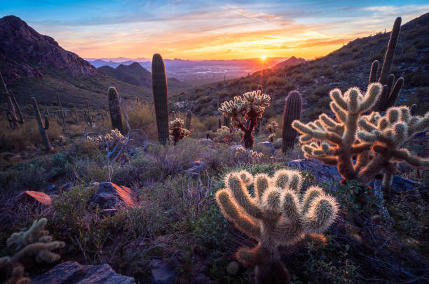 istock Sunset on Bell Pass in The Majestic McDowell Mountains 1469510194