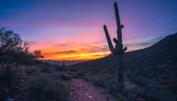 istock Sunset on Bell Pass in The Majestic McDowell Mountains 1469510206