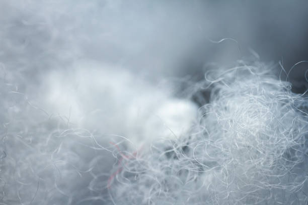 istock Extreme macro of polyester stable fiber 1469510258