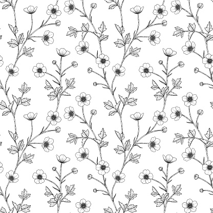 Seamless pattern buttercup floral hand drawn illustration. Design decor for logo, card, save the date, wedding invitation cards, poster, banner.
