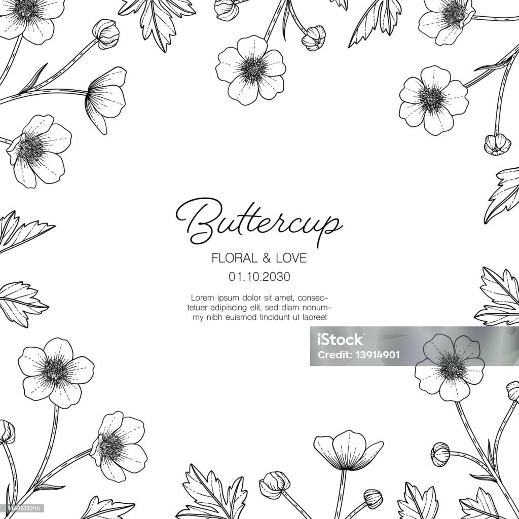 https://media.istockphoto.com/id/1469513244/vector/hand-drawn-buttercup-floral-greeting-card-background.jpg?s=1024x1024&w=is&k=20&c=ttZQvtqHYvI_kszrGtT7ugBBPRLVwPLMHCB2zVFRsDk=