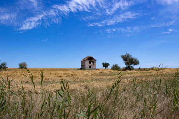 istock A lonely unfinished house 1469515873