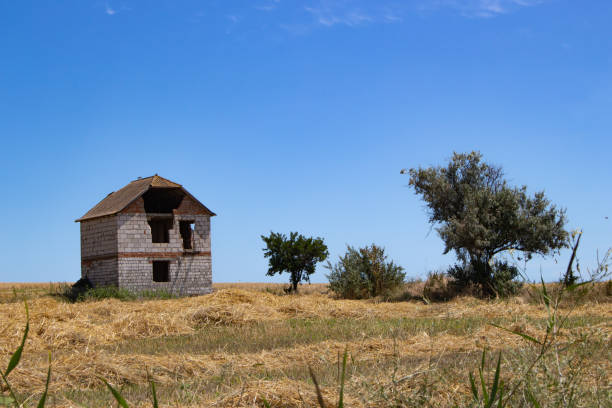 istock A lonely unfinished house 1469516063