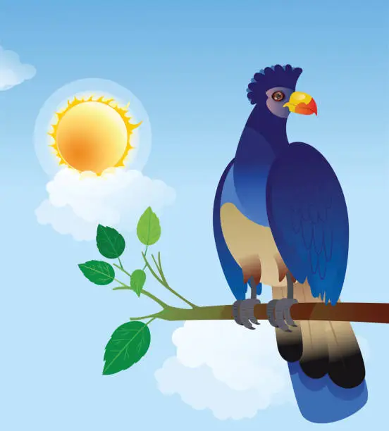 Vector illustration of Great Blue Turaco