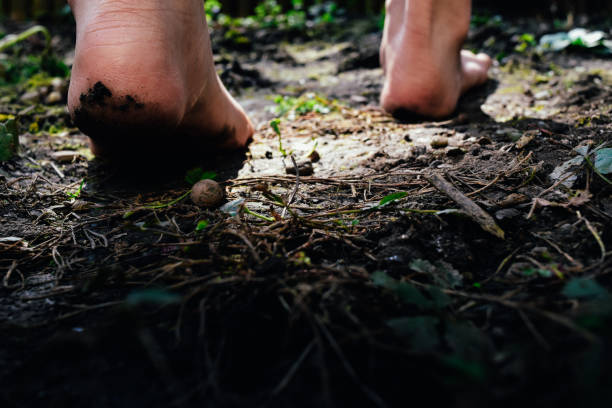 istock walked and strode towards the forest. 1469517396
