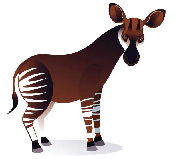 Vector illustration of Okapi ,Okapia johnstoni