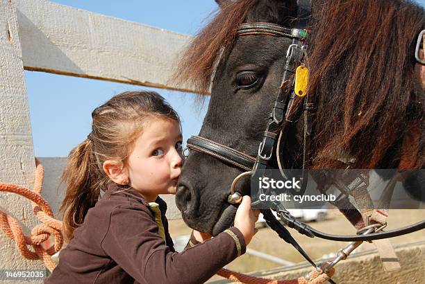 Niña Y El Pony Foto de stock y más banco de imágenes de Niño - Niño, Poni, Caballo - Familia del caballo