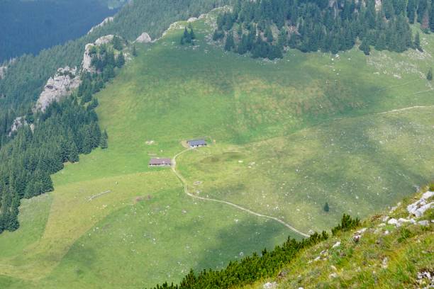 vista de las casas bávaras desde arriba. vista de arriba hacia abajo de la baviera de verano y las casas de abajo. casas bávaras en los alpes de verano. casas entre la naturaleza verde de baviera. - alm bavaria mountain summer fotografías e imágenes de stock