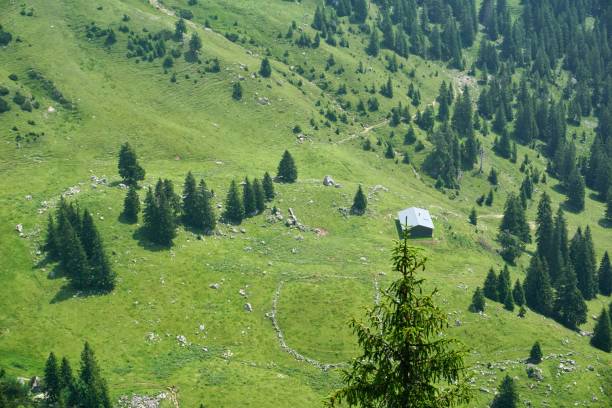 vista de las casas bávaras desde arriba. vista de arriba hacia abajo de la baviera de verano y las casas de abajo. casas bávaras en los alpes de verano. casas entre la naturaleza verde de baviera. - alm bavaria mountain summer fotografías e imágenes de stock