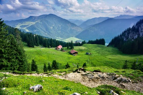 vista de las casas bávaras desde arriba. vista de arriba hacia abajo de la baviera de verano y las casas de abajo. casas bávaras en los alpes de verano. casas entre la naturaleza verde de baviera. - alm bavaria mountain summer fotografías e imágenes de stock