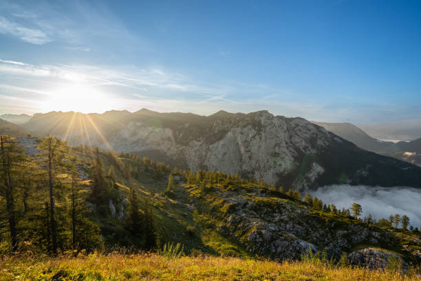 istock Sunrise in the mountains 1469522409