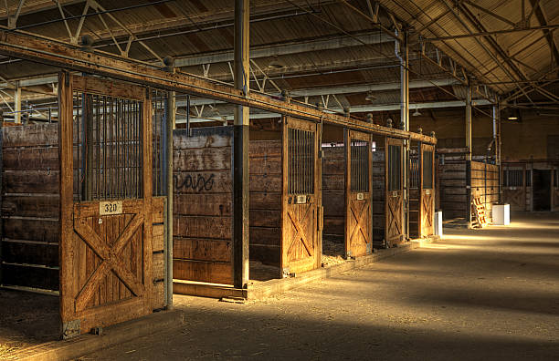 Empty Horse Barn stock photo