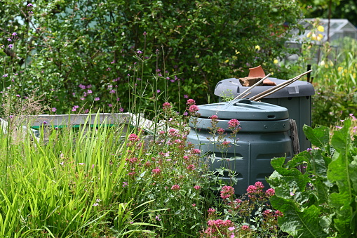 Plastic compost bins in an allotment in Tunbridge Wells, Kent