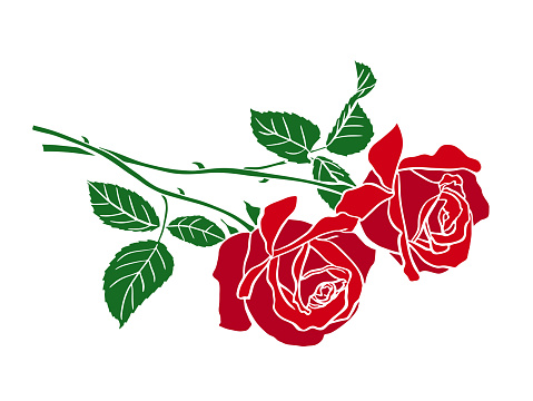 Two Roses silhouette. Red rose isolated on white background. Drawing vector graphics with floral pattern for design. Vector illustration.