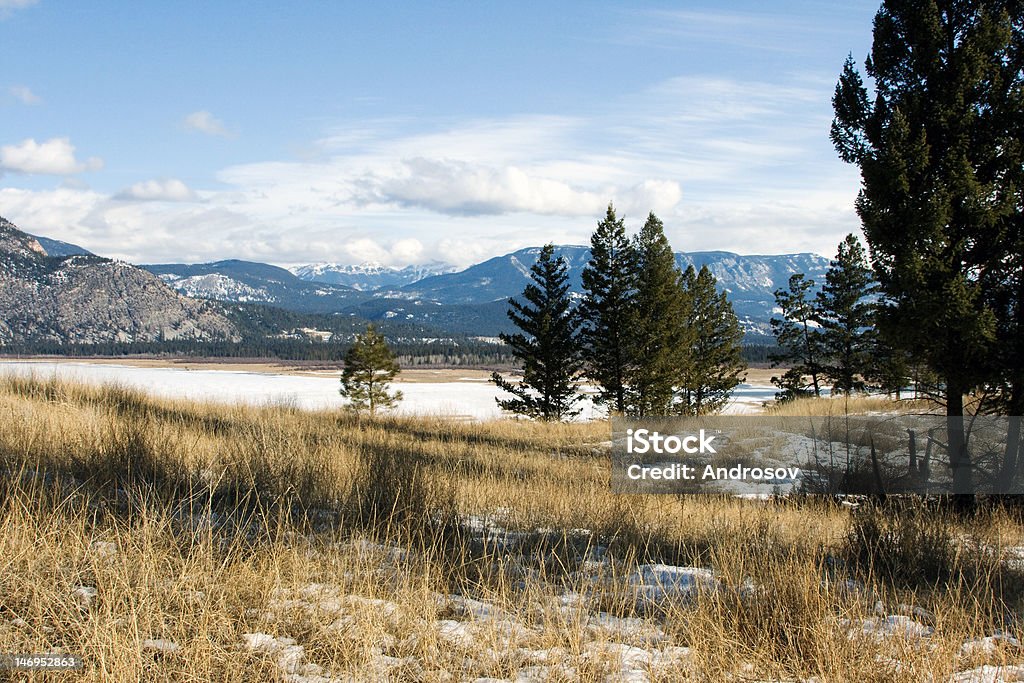 Invierno en las Montañas Rocosas - Foto de stock de Agua libre de derechos