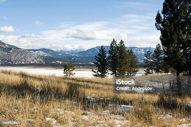 Invierno En Las Montañas Rocosas Foto de stock y más banco de imágenes de Agua - Agua, Aire libre, Alberta