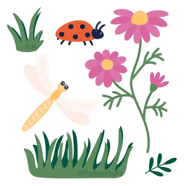 Vector illustration of A set of elements for decoration and design - flower, dragonfly, ladybug, grass, leaves.