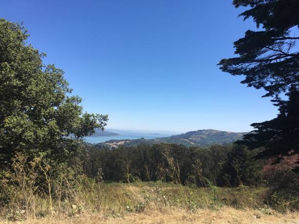 istock View from Tamalpais-Homestead Valley 1469530602
