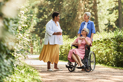 Group of cheerful senior women with person in wheelchair enjoying walk together in park