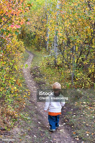 Criança Pequena Percursos - Fotografias de stock e mais imagens de 2-3 Anos - 2-3 Anos, Andar, Ao Ar Livre