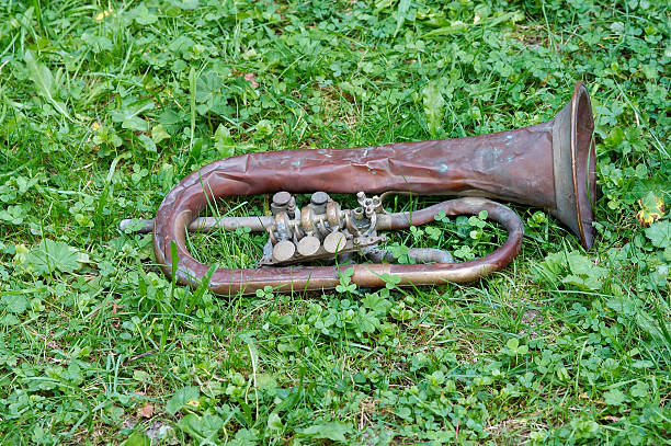 A young man carrying a “Trumpet” musical instrument and another carrying a Silver Chrome Tarol.\nCarnaval de Belo Horizonte
