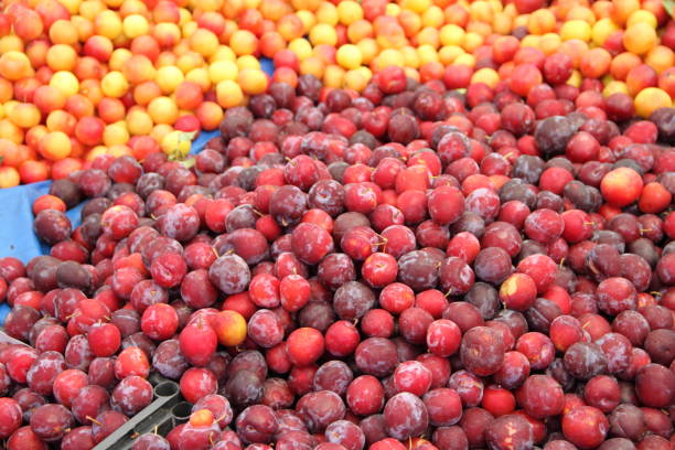 istock red and yellow mirabelle plums 1469534792